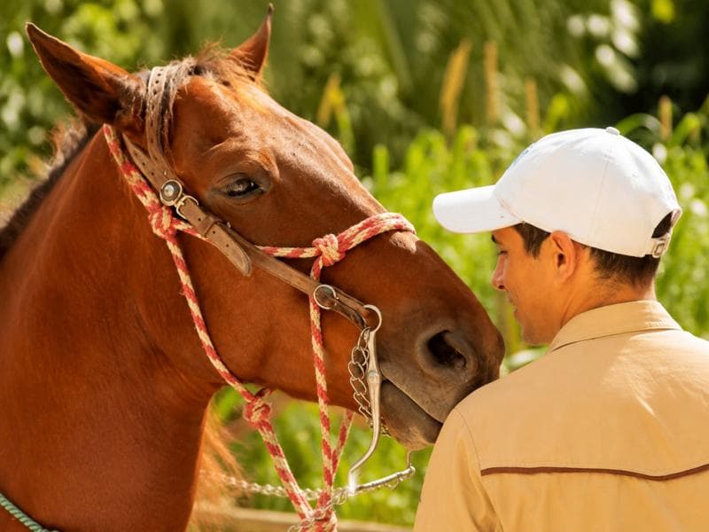 Horseback Riding Rancho Bonanza