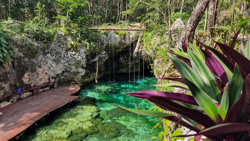 Tulum Cenote Playa Del Carmen